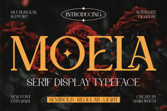 Moela Serif Display Typeface for Editorial Design
